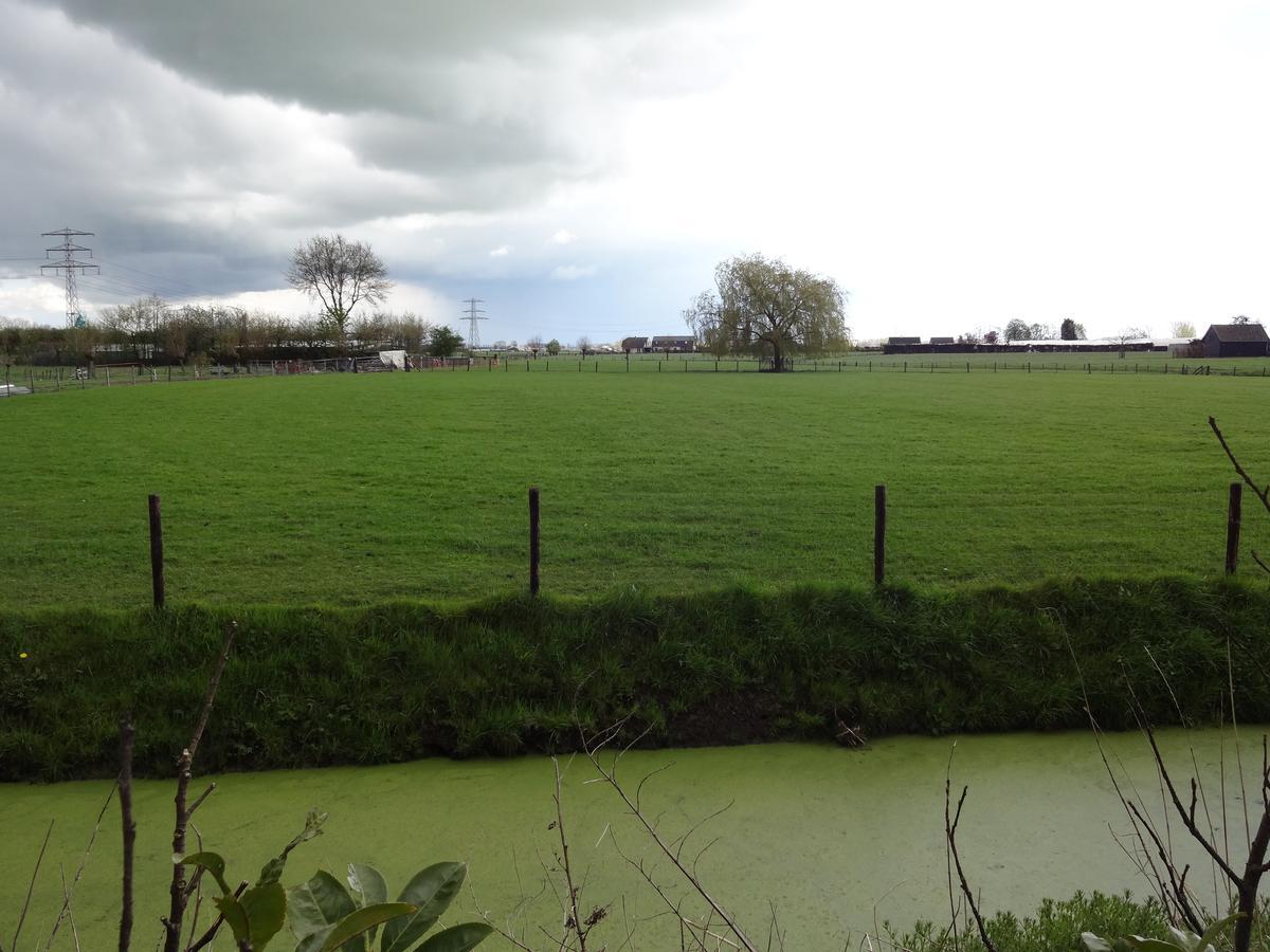 De Betuwe Hotel Asch ภายนอก รูปภาพ